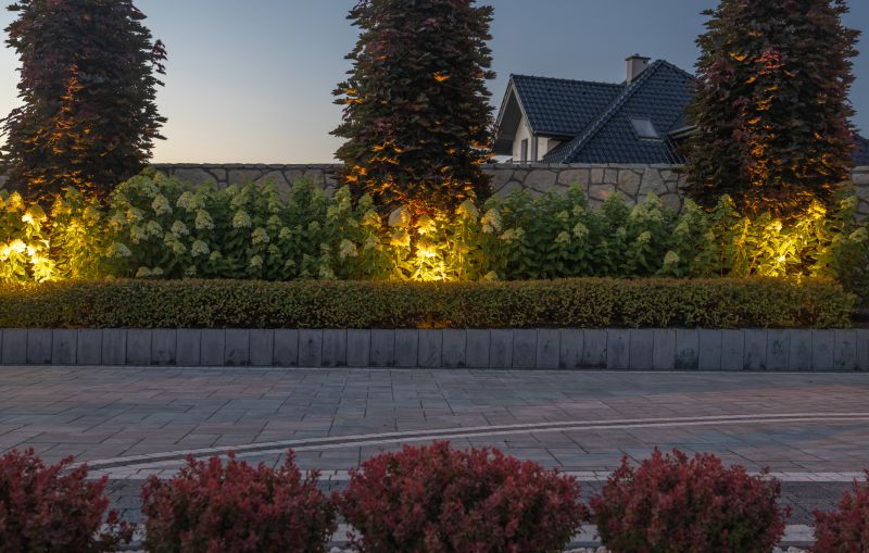 Lot Paving